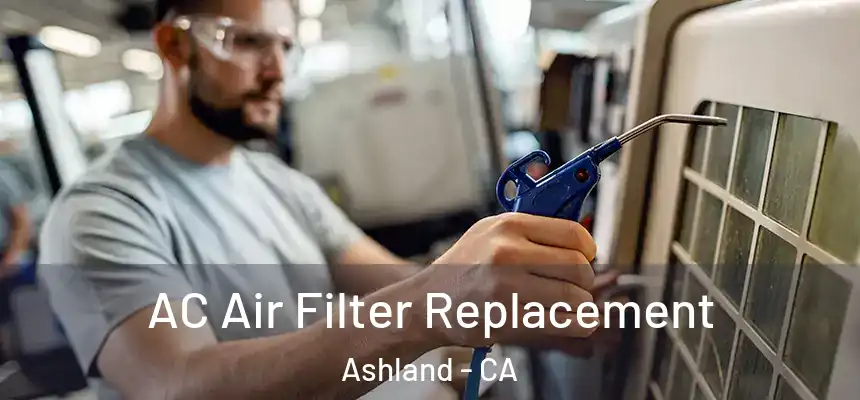 AC Air Filter Replacement Ashland - CA