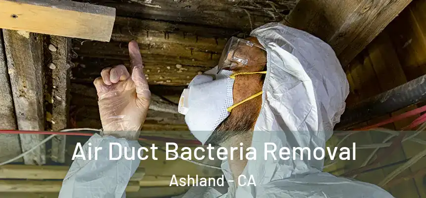 Air Duct Bacteria Removal Ashland - CA