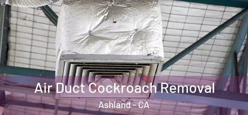  Air Duct Cockroach Removal Ashland - CA