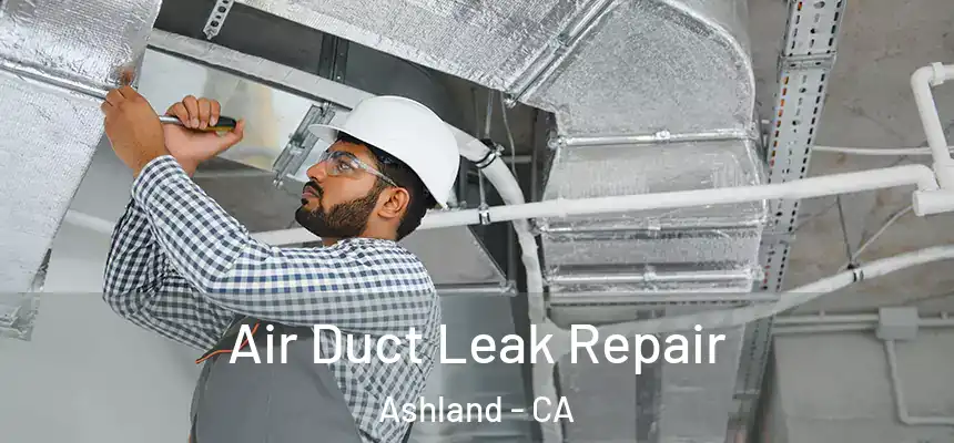 Air Duct Leak Repair Ashland - CA
