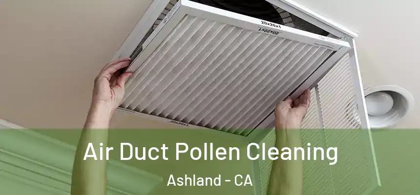  Air Duct Pollen Cleaning Ashland - CA