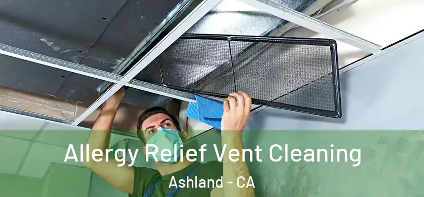  Allergy Relief Vent Cleaning Ashland - CA