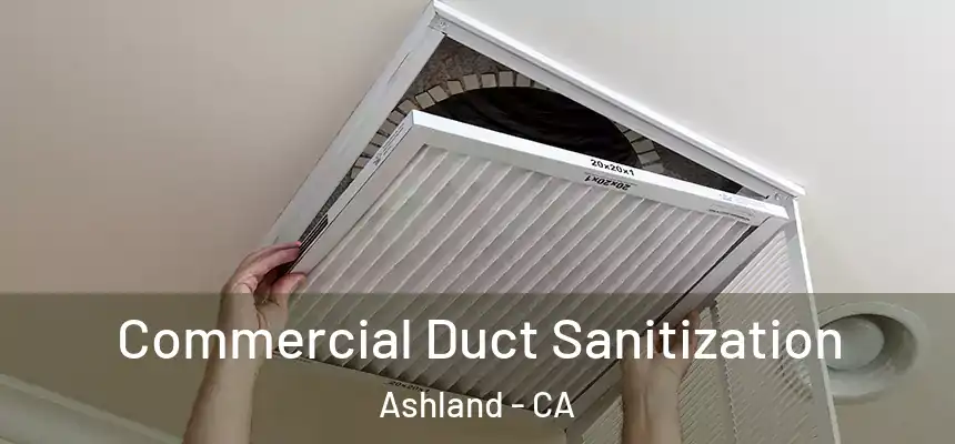 Commercial Duct Sanitization Ashland - CA
