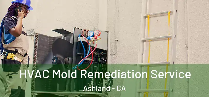  HVAC Mold Remediation Service Ashland - CA