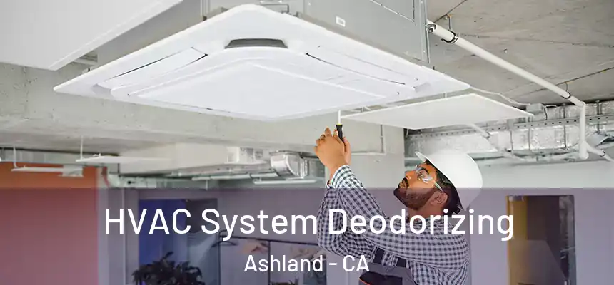 HVAC System Deodorizing Ashland - CA