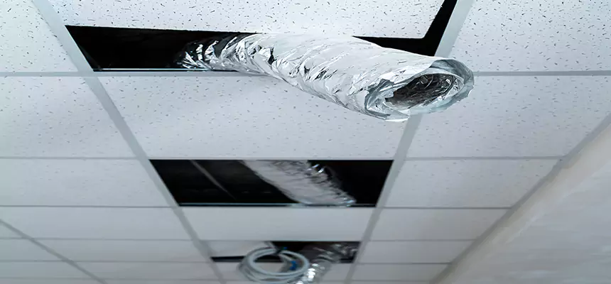 Our Air Duct Pet Hair Removal Services in Ashland, CA