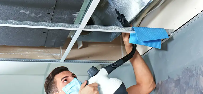 Our Air Duct Rodent Removal Services in Ashland, CA
