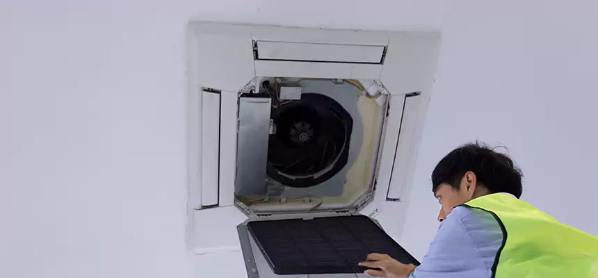 Our Dryer Vent Sanitization Service Services in Ashland, CA