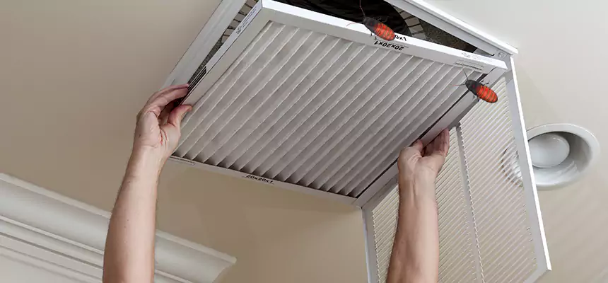 Our Insect Removal from Air Ducts Services in Ashland, CA