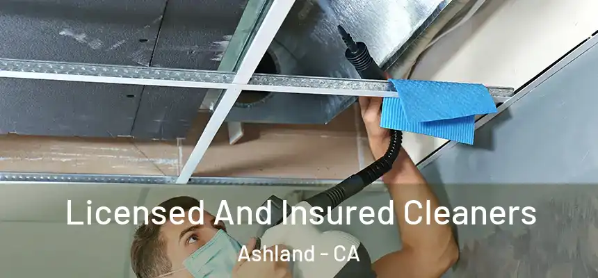  Licensed And Insured Cleaners Ashland - CA