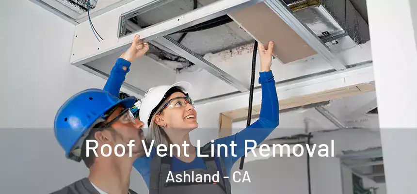  Roof Vent Lint Removal Ashland - CA