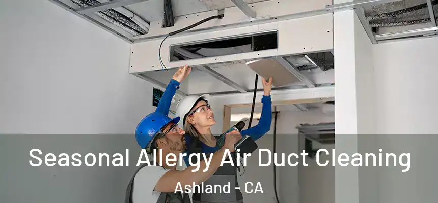  Seasonal Allergy Air Duct Cleaning Ashland - CA