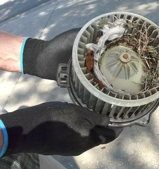 About Air Duct Rat Removal in Ashland, CA