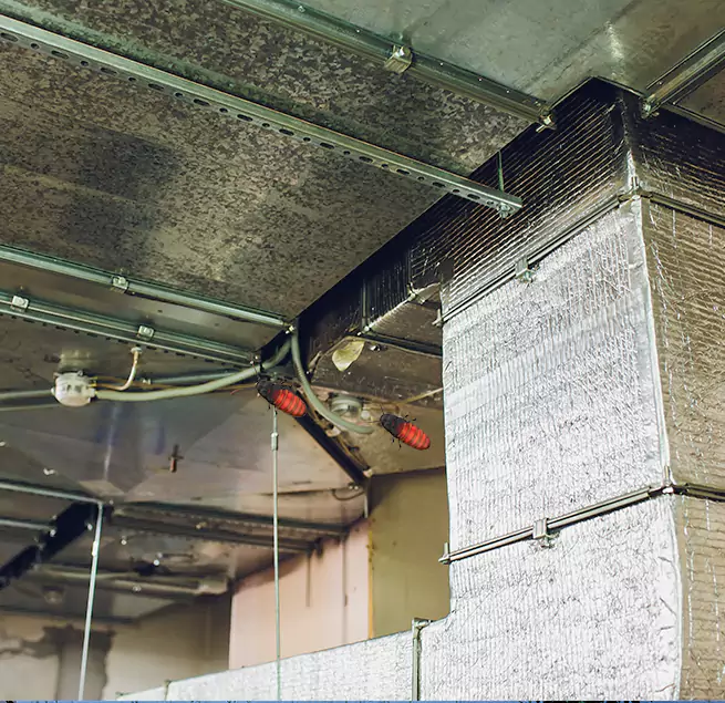 Why Homeowners & Businesses Trust Us in Ashland, CA?