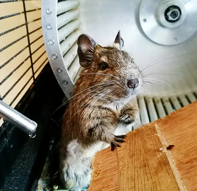 Why Homeowners & Businesses Trust Us Ashland, CA?