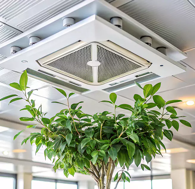 Why Homeowners & Businesses Trust Us in Ashland, CA?