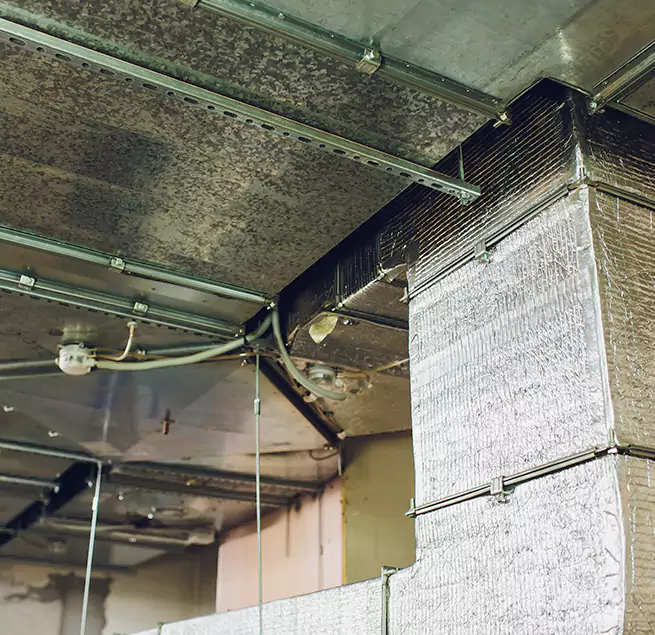 Why Homeowners & Businesses Trust Us in Ashland, CA?