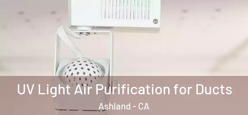  UV Light Air Purification for Ducts Ashland - CA
